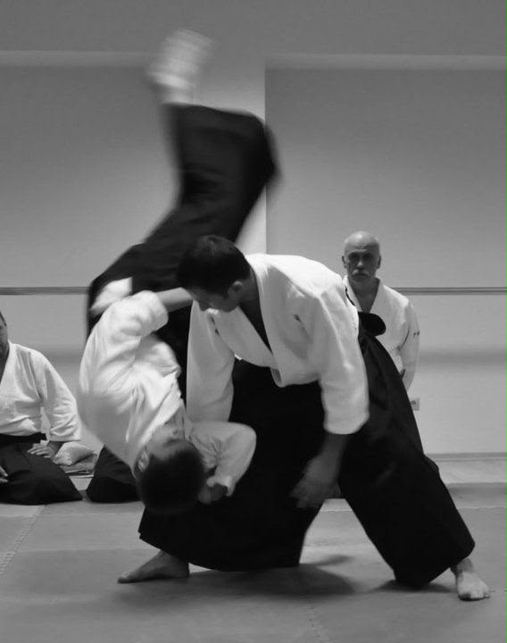 Aikido ve savunma sporu çalışması
